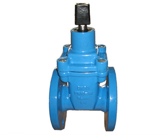 Double Flanged Gate Valve