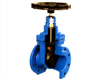 Resilient-seated Gate Valve